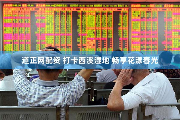 道正网配资 打卡西溪湿地 畅享花漾春光